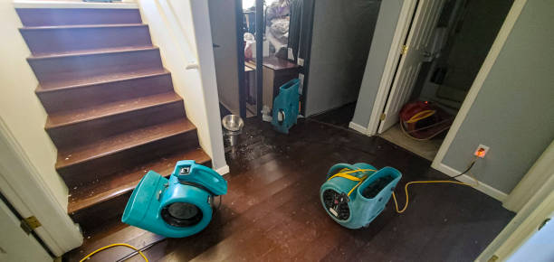 Sewage cleanup and water damage restoration in Hillcrest Heights, MD