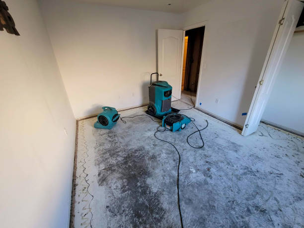 Best Flooded house restoration  in Hillcrest Heights, MD