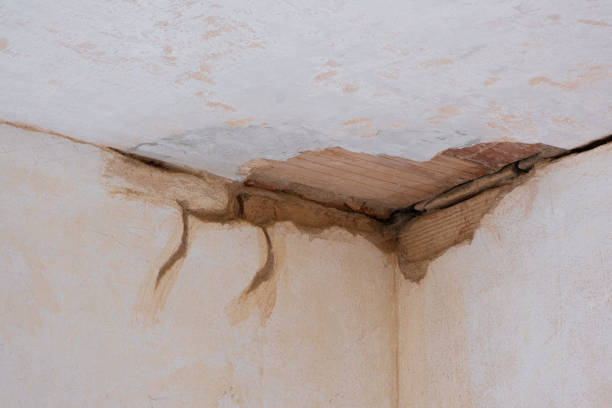Best Water damage restoration near me  in Hillcrest Heights, MD