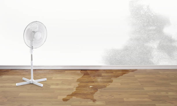 Water damage restoration insurance claims in Hillcrest Heights, MD
