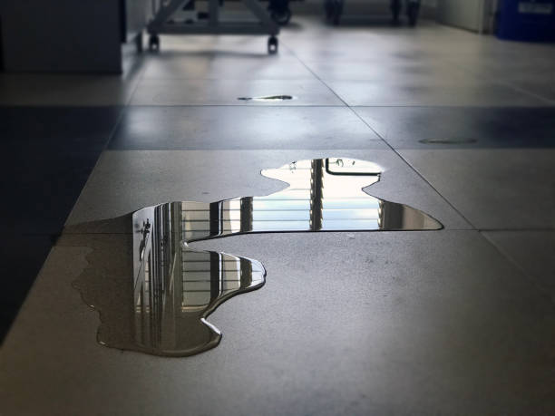 Best Commercial water damage restoration  in Hillcrest Heights, MD