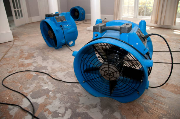 Best Emergency water damage restoration  in Hillcrest Heights, MD