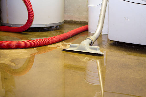 Best 24/7 water damage repair  in Hillcrest Heights, MD