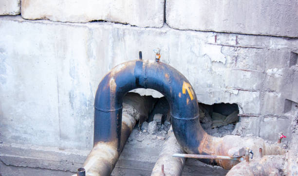 Best Water damage cleanup near me  in Hillcrest Heights, MD