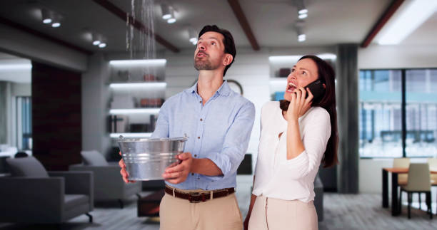 Best Water damage restoration services  in Hillcrest Heights, MD